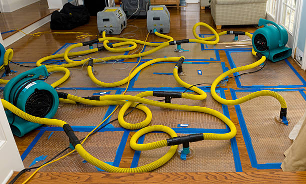 Professional Crawl Space Water Removal technician working in Lakeview, OR